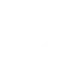 GitHub icon